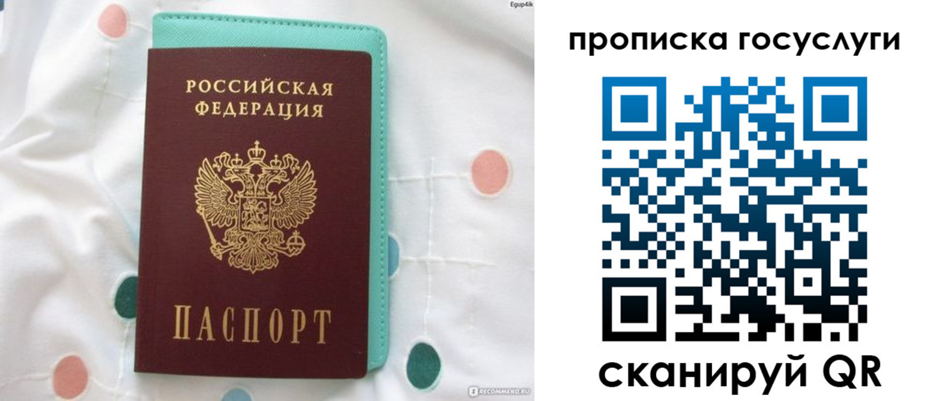 прописка поиск в Могочи